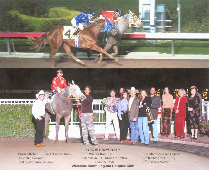 Custom Equine Design